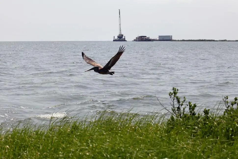 NTSB: Pipeline Operator Took Nearly 13 Hours to Halt Oil Flow After Pressure Drop